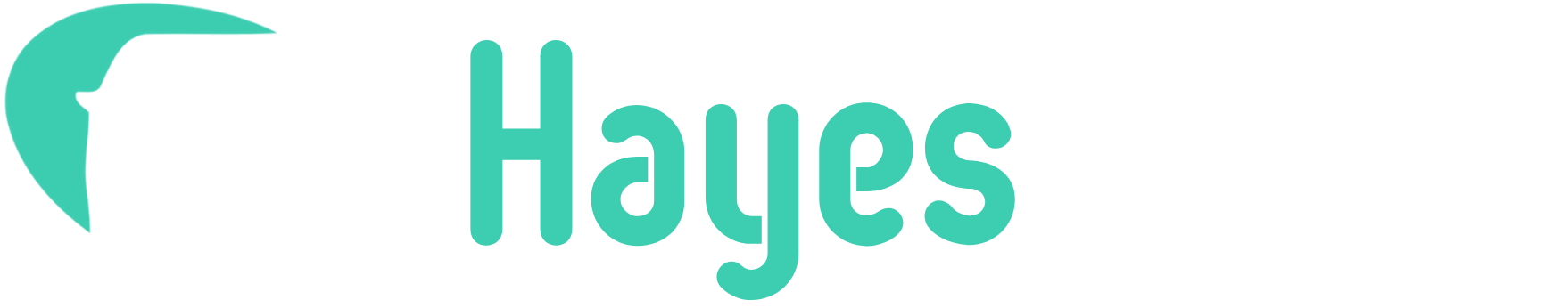 HayesMotor logo